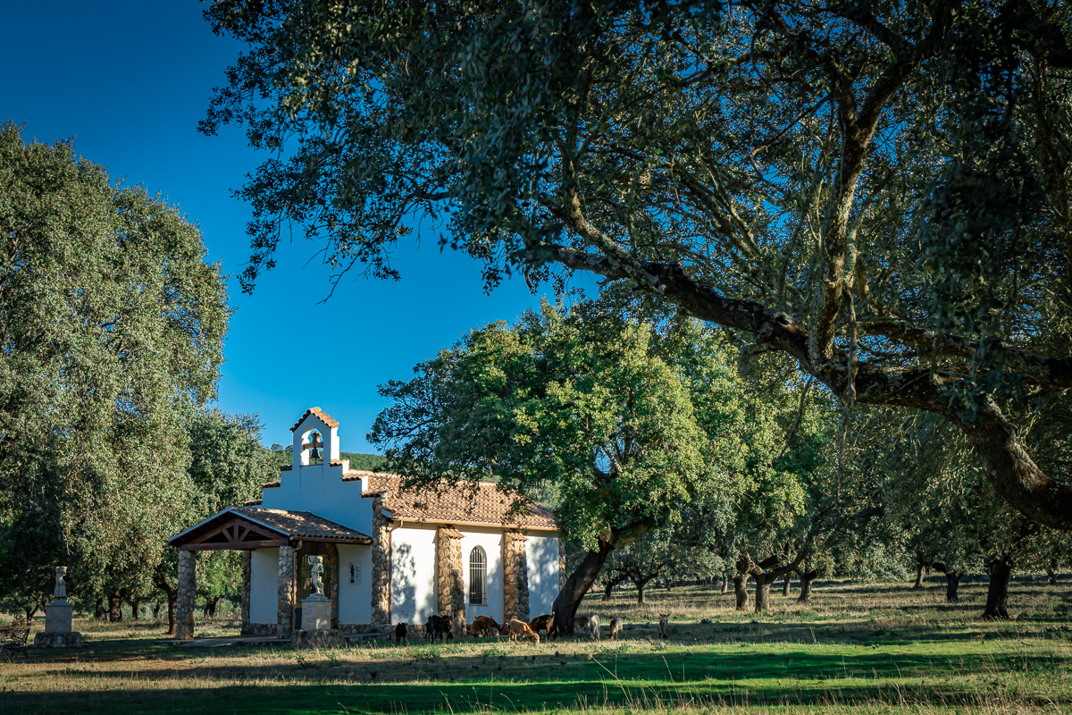 patrimonio-y-cultura-lacara