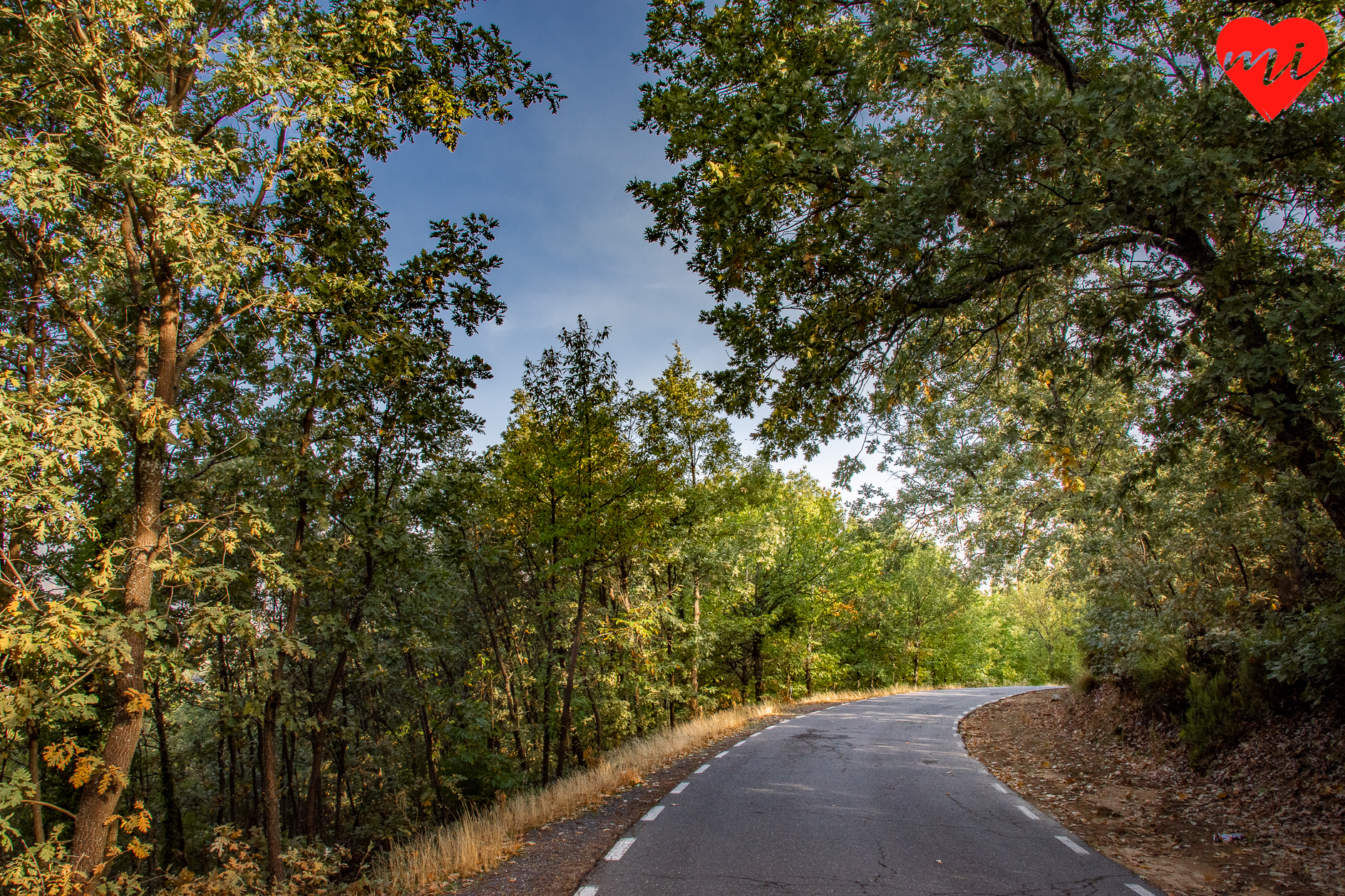 hervas-bosque-encantado