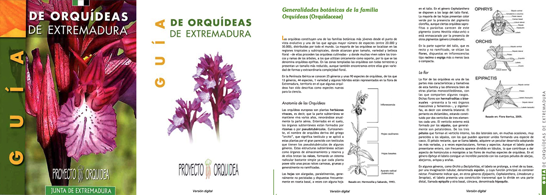 orquideas en alange