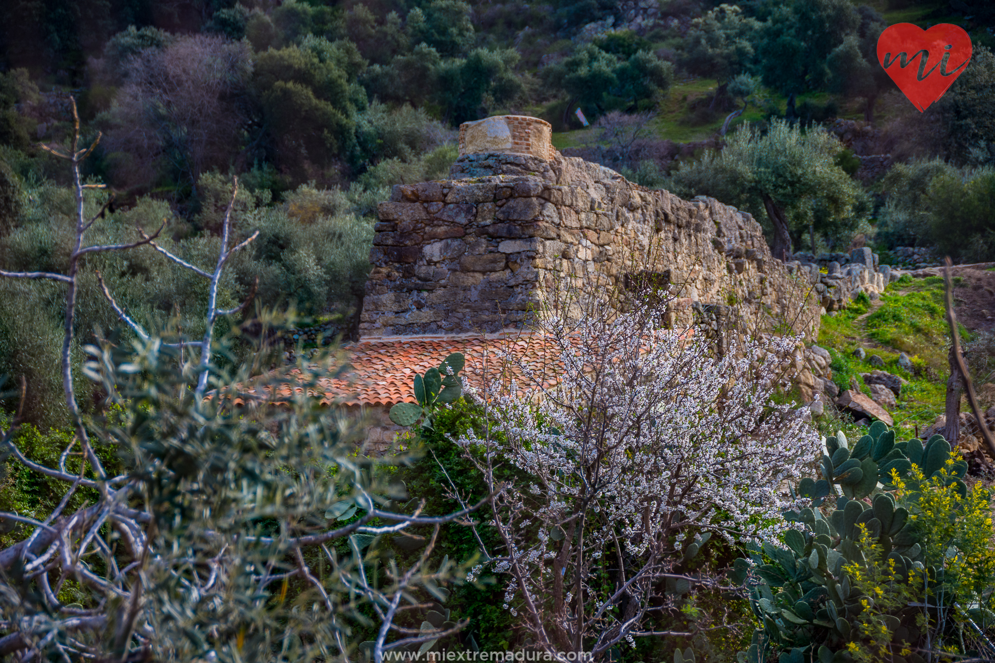 arroyomolinos-de-montanchez