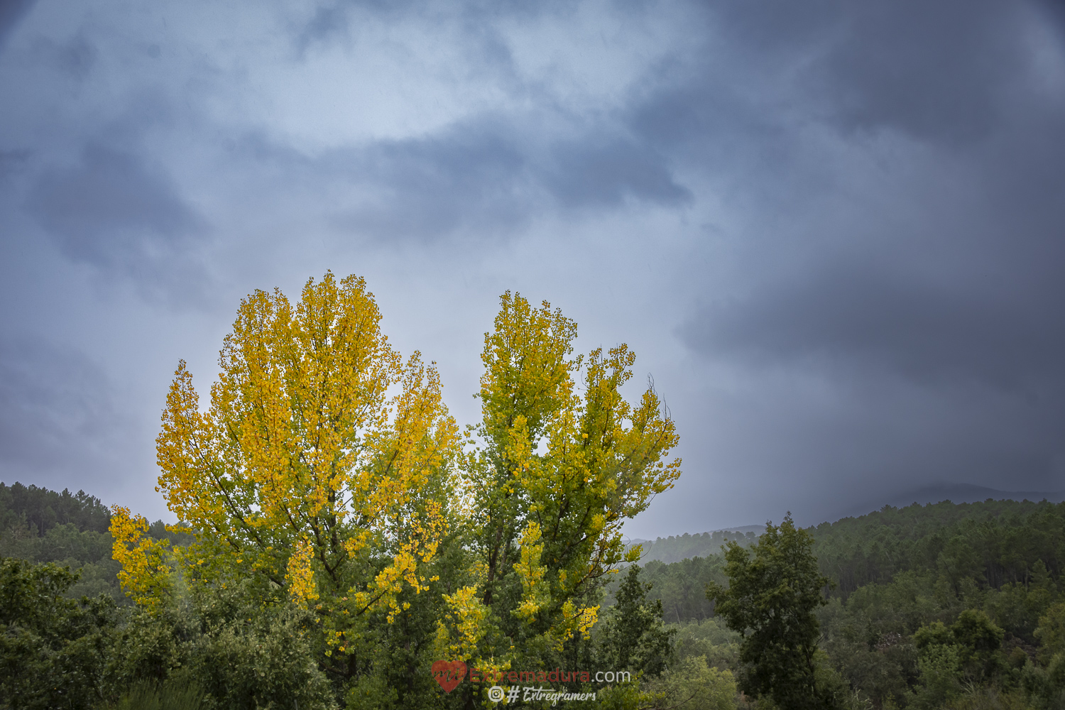 colores de otoño