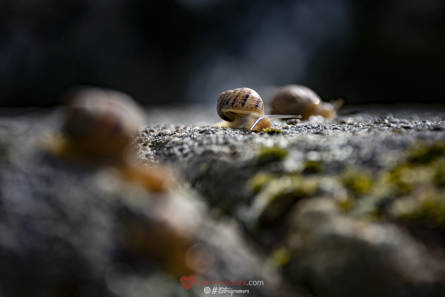 colores de otoño