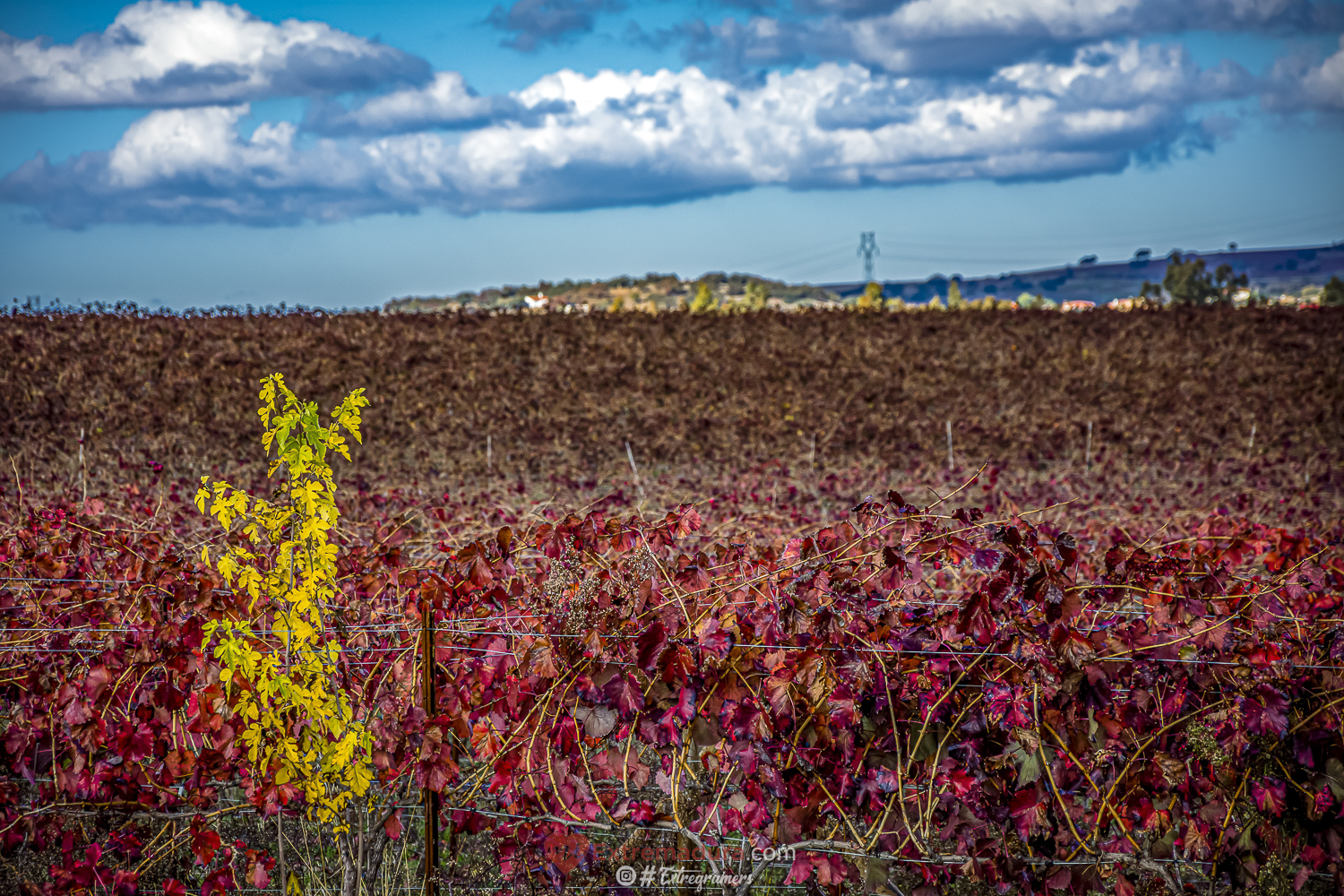 colores de otoño