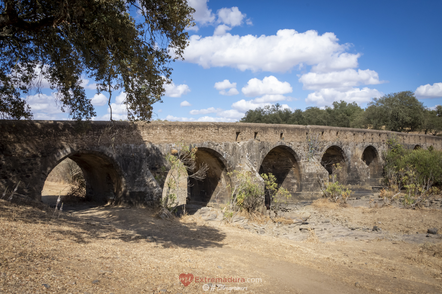 puente de la bogaña