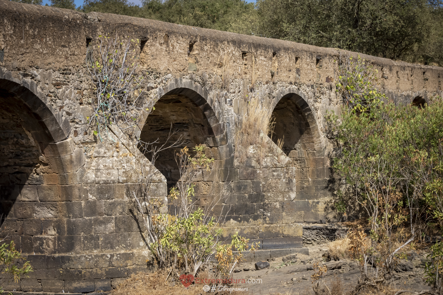 puente de la bogaña