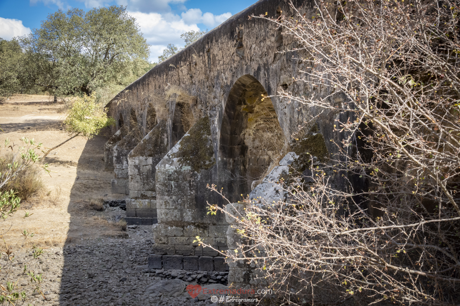 puente de la bogaña