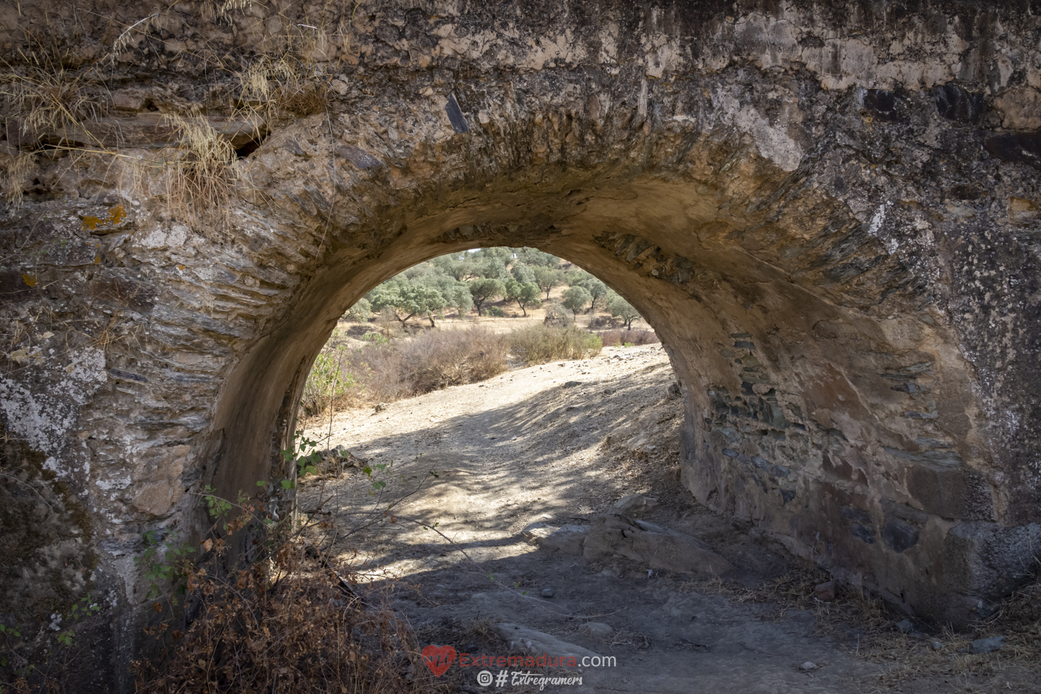 puente de la bogaña