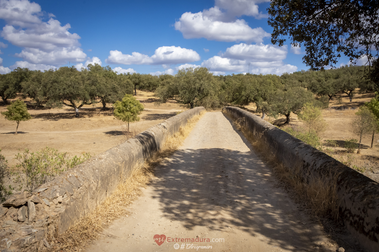 puente de la bogaña