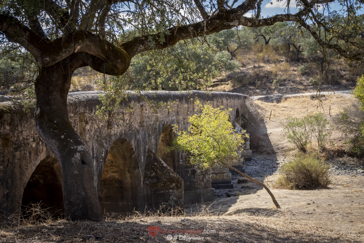 puente de la bogaña